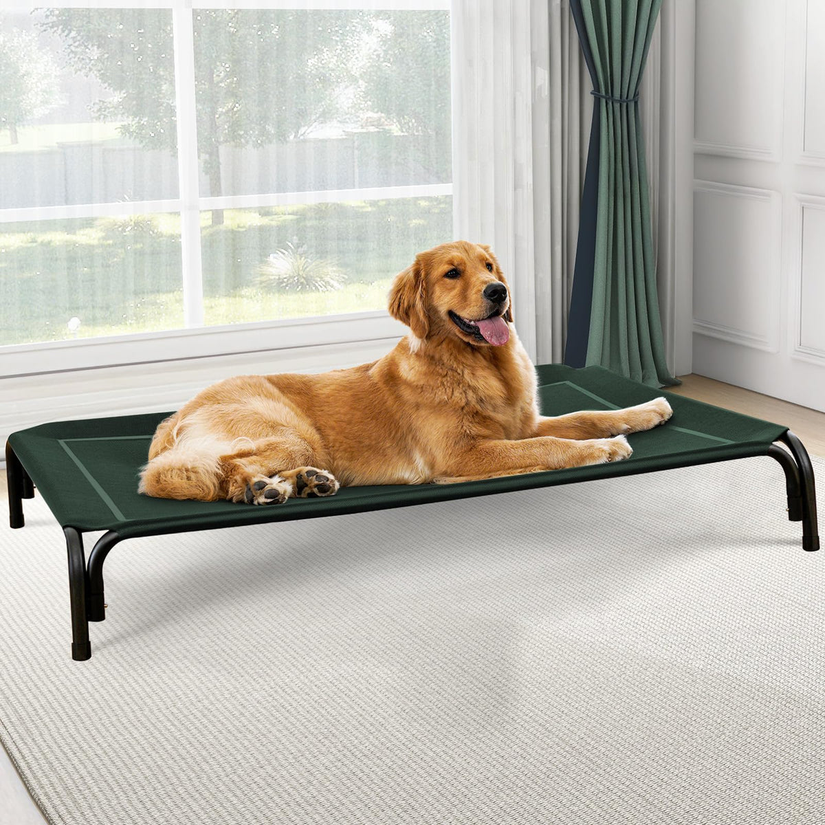 Golden Retriever stretched out on the green elevated dog bed beside a window