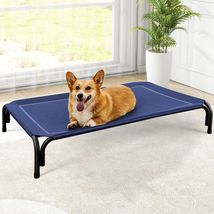 Corgi resting on the navy blue elevated dog bed in a bright living room