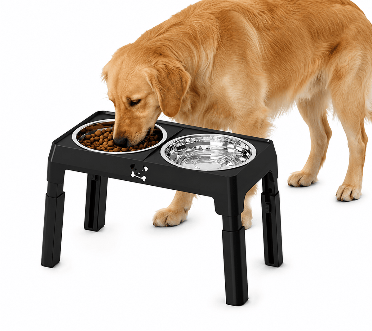 Golden retriever eating from the Noblias elevated dog bowls raised to a comfortable height.