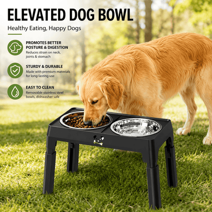 Golden retriever feeding outdoors from the Noblias elevated dog bowls on grass.