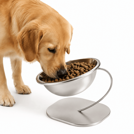 Golden Retriever eating from the tilted stainless steel bowl on its slim wire stand
