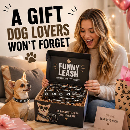 Woman opening the fake iron chain dog leash in its gift box, presented as a present for dog lovers