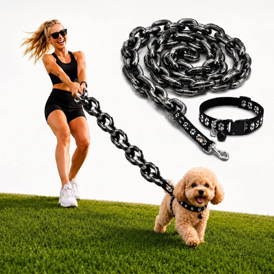 Woman walking a small poodle on the Noblias fake iron chain dog leash, with the matching studded collar shown beside it
