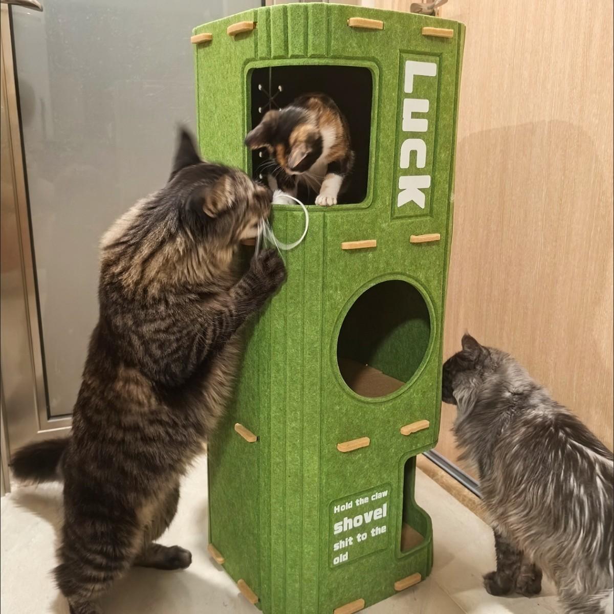 Two cats meeting at the upper opening of the green Noblias felt cat house while a third watches from below.