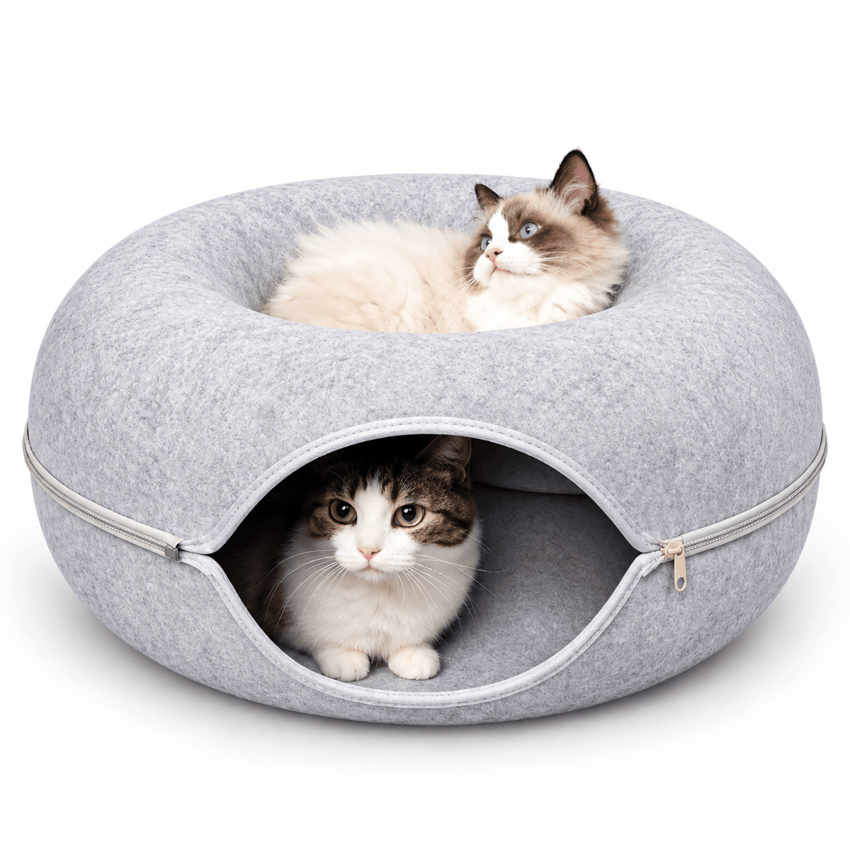 Light gray felt donut cat tunnel bed with a ragdoll cat lounging on top and a kitten inside the tunnel.