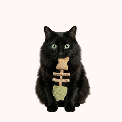 Black cat holding the Noblias fish bone cat dental chew toy, made of silvervine wood with a catnip head and a gall fruit tail.