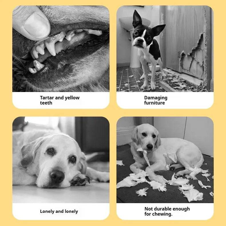 Infographic of four problems the toy addresses: tartar and yellow teeth, damaged furniture, a lonely dog and toys not durable enough for chewing