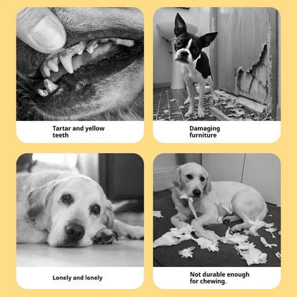 Infographic of four problems the toy addresses: tartar and yellow teeth, damaged furniture, a lonely dog and toys not durable enough for chewing