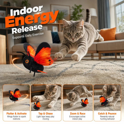 Cat leaping toward the flapping butterfly cat toy with flutter and activate, tap and chase, zoom and race and catch and pounce panels.