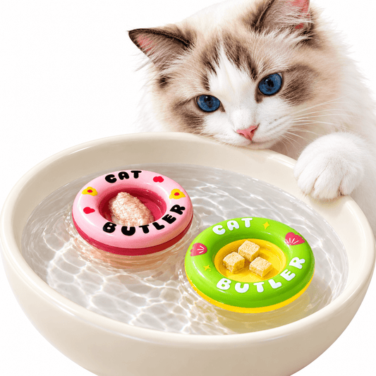 Pink and green floating treat dishes holding treats in a cat water bowl while a ragdoll cat looks on.