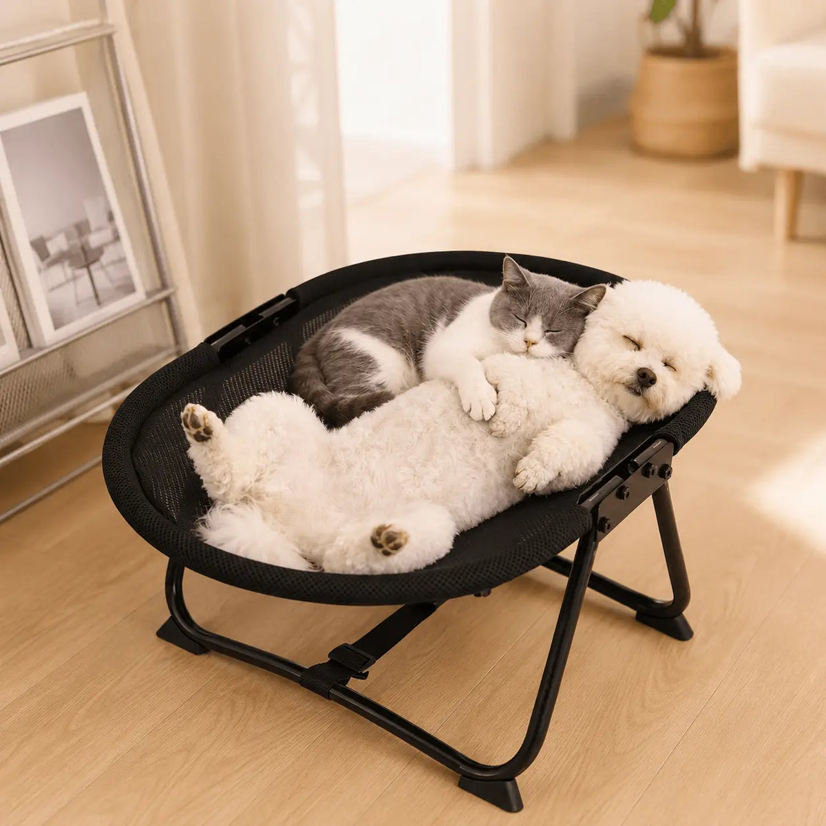 Noblias foldable elevated cat hammock bed with black breathable mesh top, a gray cat and a small white dog curled up together on it