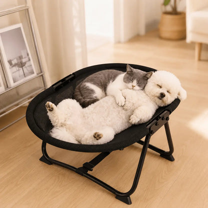 Noblias foldable elevated cat hammock bed with black breathable mesh top, a gray cat and a small white dog curled up together on it