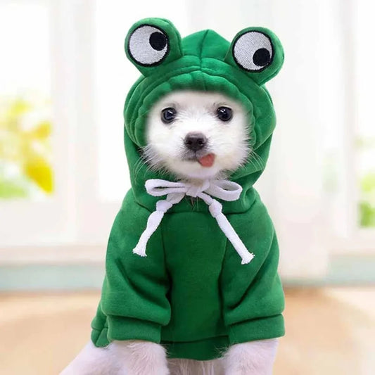 White dog wearing the green frog dog hoodie with frog eyes on the hood and a white drawstring