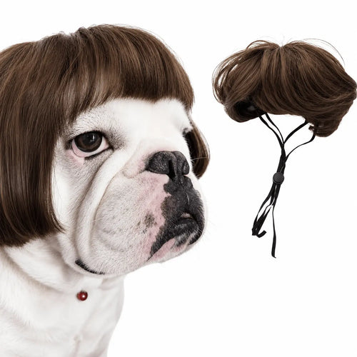 English bulldog wearing the brown Noblias funny pet wig, shown beside the wig itself and its adjustable elastic chin cord.