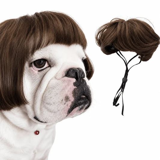 English bulldog wearing the brown Noblias funny pet wig, shown beside the wig itself and its adjustable elastic chin cord.