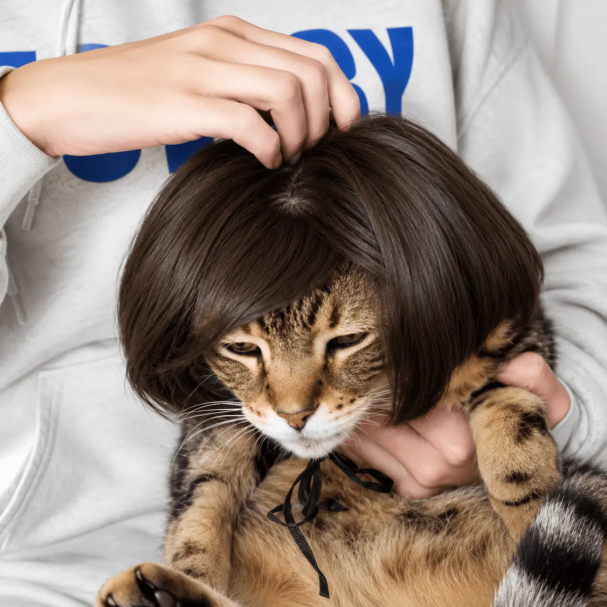 Owner placing the brown Noblias funny pet wig onto a cat held in their arms, showing how quickly it goes on.