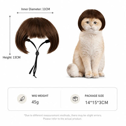 Size details for the Noblias funny pet wig, with an 11 cm inner diameter, 13 cm height and 45 g weight, shown on a cat.