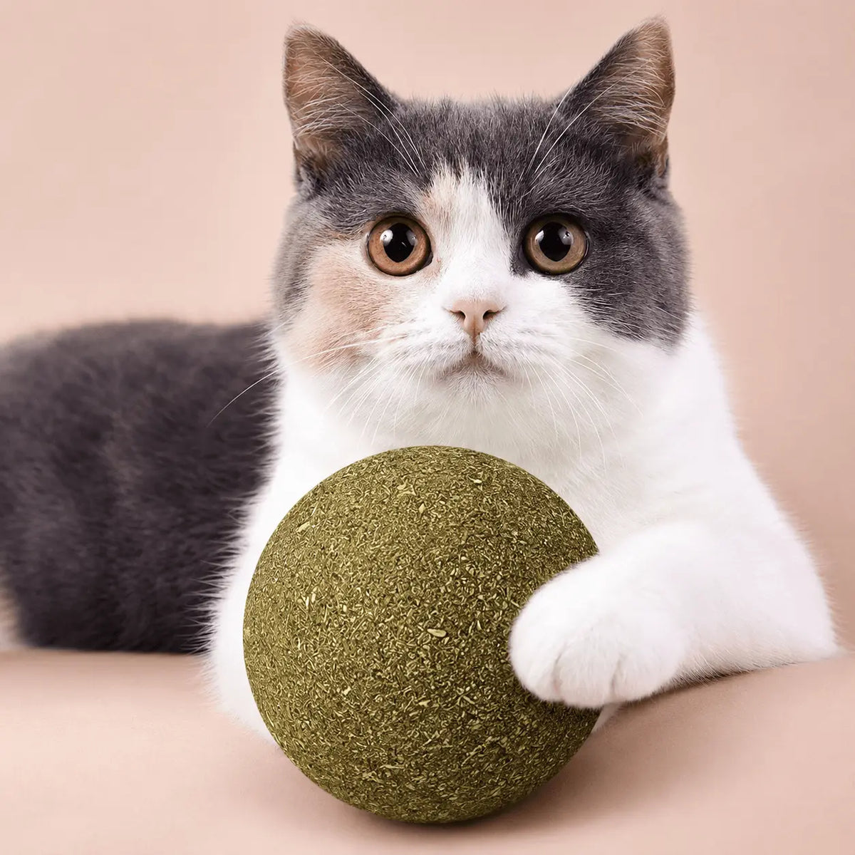 Gray and white cat resting a paw on the green giant catnip ball, showing how large the ball is next to its head
