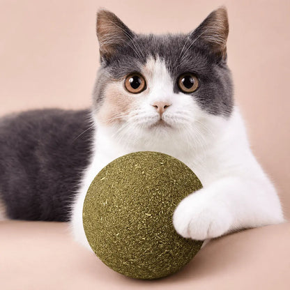 Gray and white cat resting a paw on the green giant catnip ball, showing how large the ball is next to its head