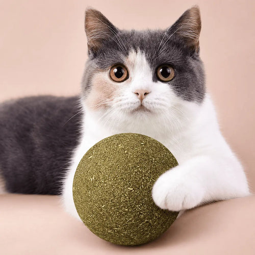 Gray and white cat resting a paw on the green giant catnip ball, showing how large the ball is next to its head