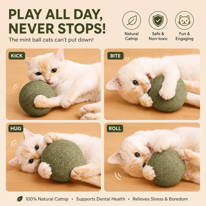 Four photos of a white cat kicking, biting, hugging and rolling the giant catnip ball, with natural catnip, safe and non-toxic badges