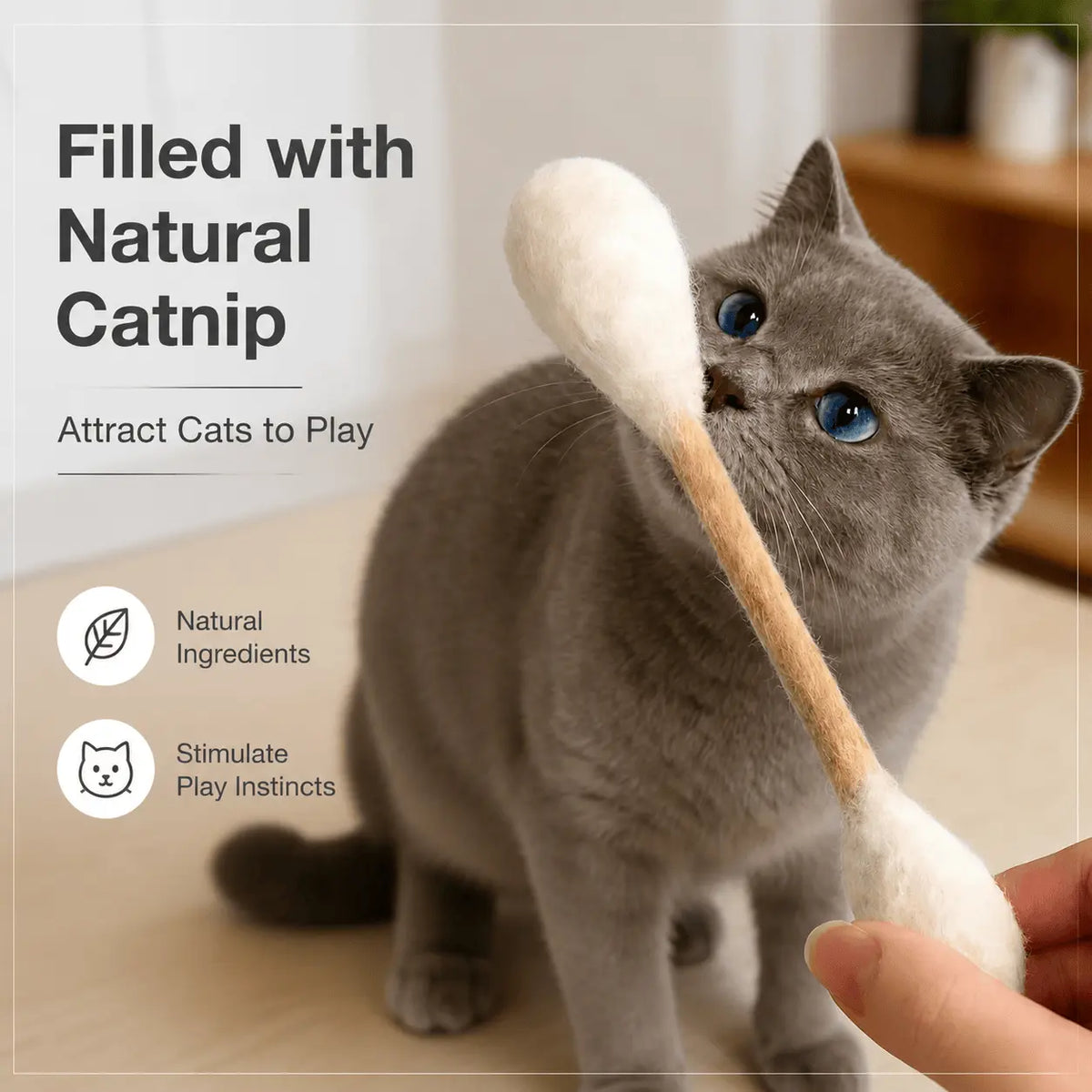 Gray cat reaching for a giant Q tip cat toy held in a hand, under a heading that it is filled with natural catnip