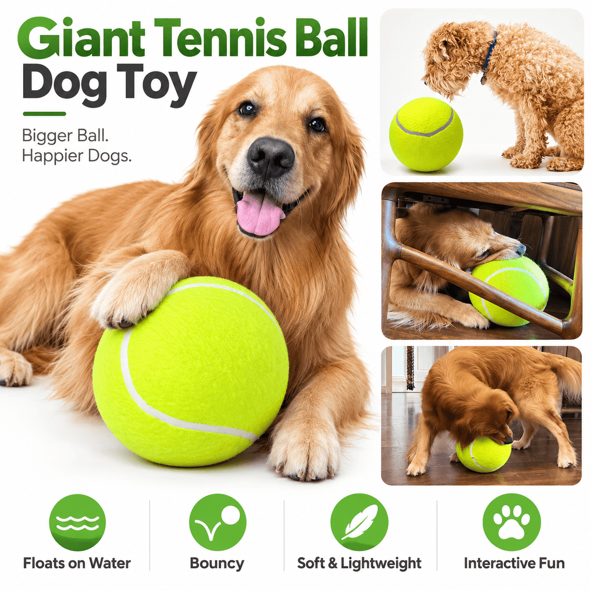 Golden retriever holding the giant tennis ball for dogs, with photos of other dogs playing and icons for floating, bouncy, lightweight and interactive fun.