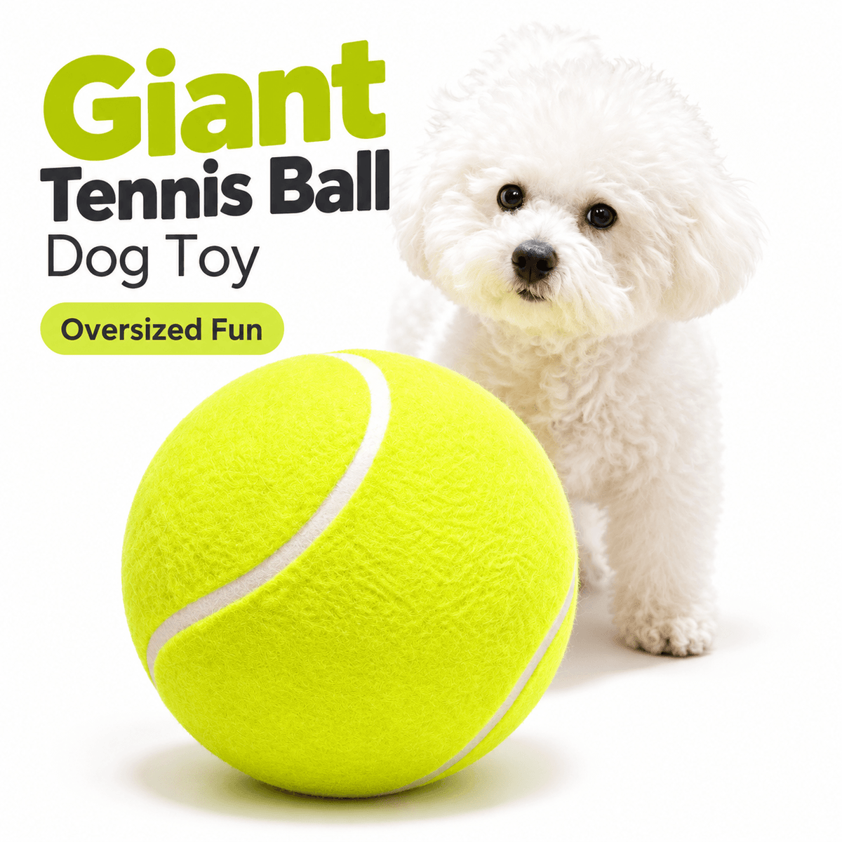 Yellow-green giant tennis ball for dogs on a white background beside a small white puppy.