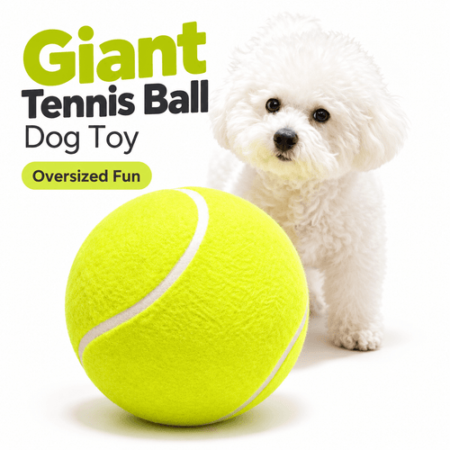 Yellow-green giant tennis ball for dogs on a white background beside a small white puppy.