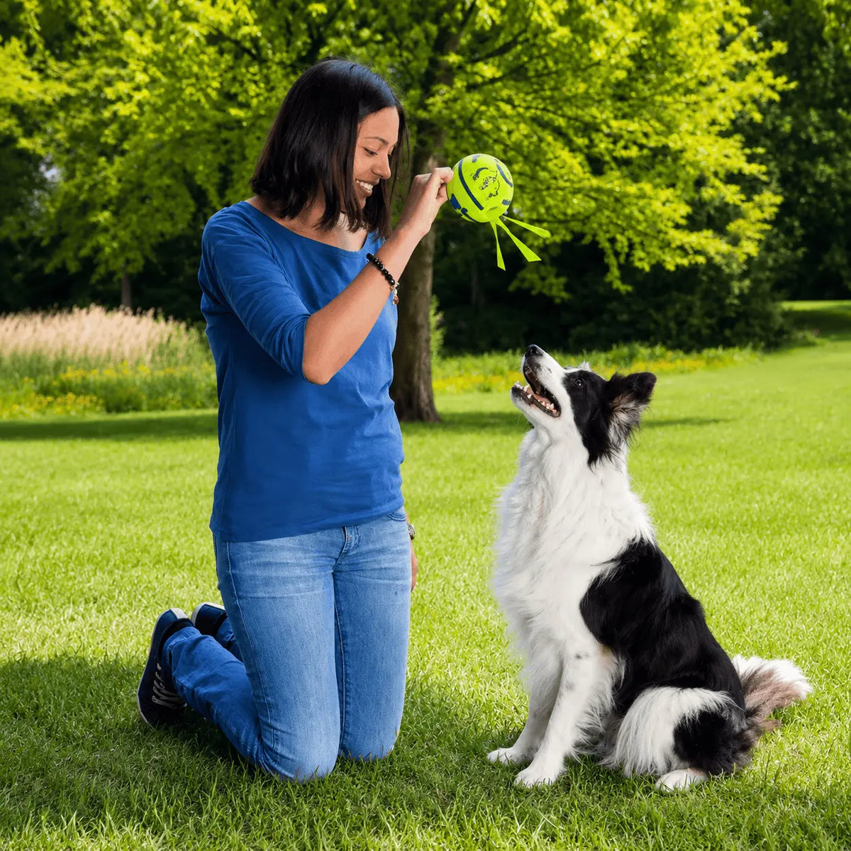 Owner kneeling on grass holding the giggle ball while a border collie waits for the throw