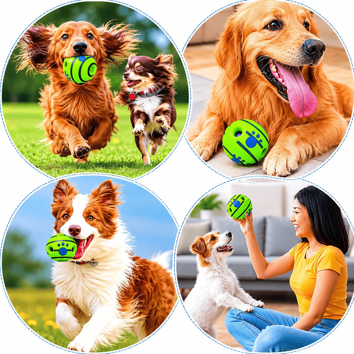 Four photos of dogs playing with the giggle ball: a dachshund and chihuahua running, a golden retriever carrying it, a border collie jumping and an owner rolling it indoors