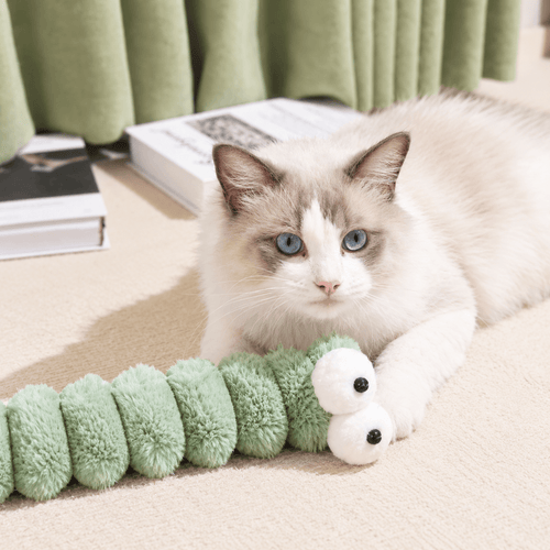 Ragdoll cat lying on a beige rug in a living room next to a long green gradient plush caterpillar cat toy with a white pom pom tail