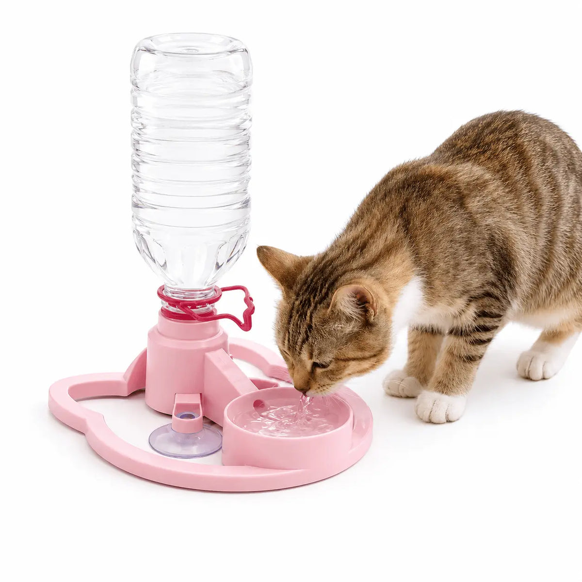 Close-up of the pink gravity pet water dispenser on a wooden floor with a tabby cat drinking from the wide bowl while the inverted bottle refills it