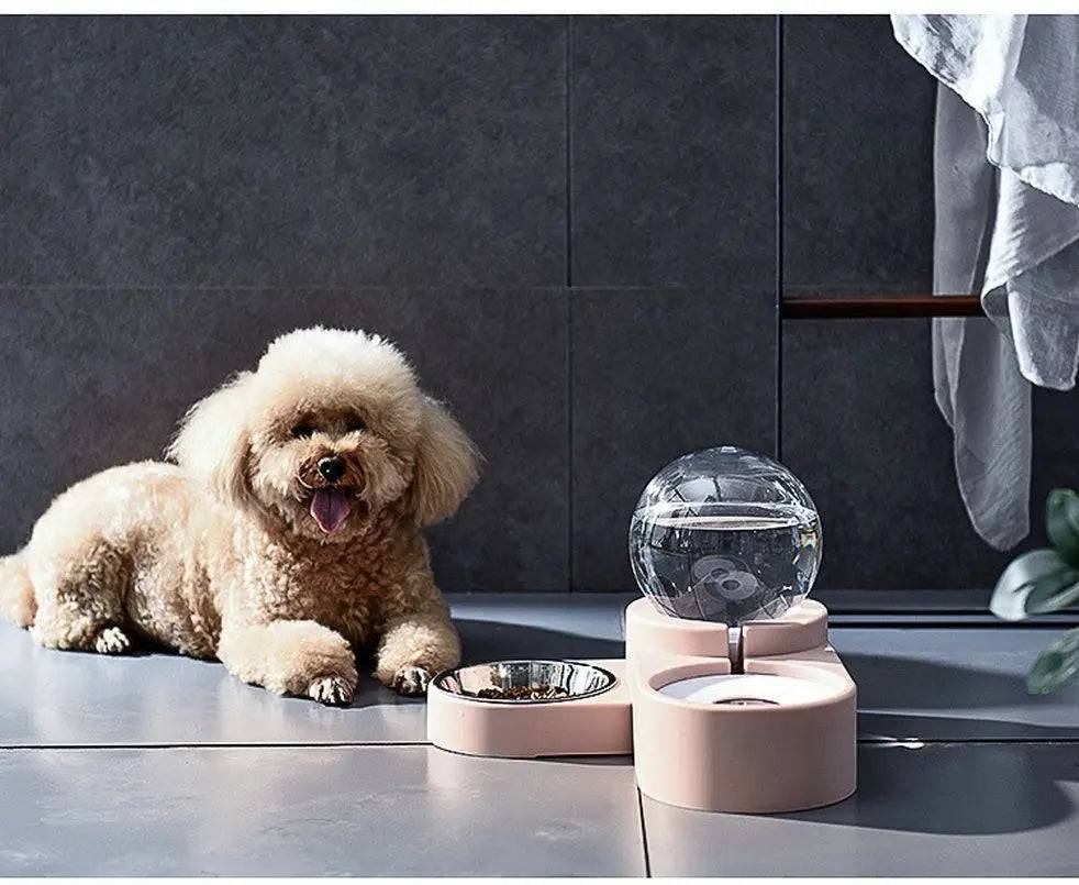 Apricot poodle lying next to the pink gravity water dispenser and stainless steel food bowl on a gray floor