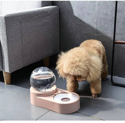 Poodle drinking from the water bowl of the pink gravity dispenser as the globe tops it up