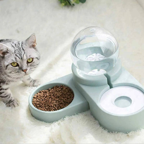 Gray cat lying beside the light blue Noblias gravity pet water dispenser with its globe reservoir and a bowl of kibble