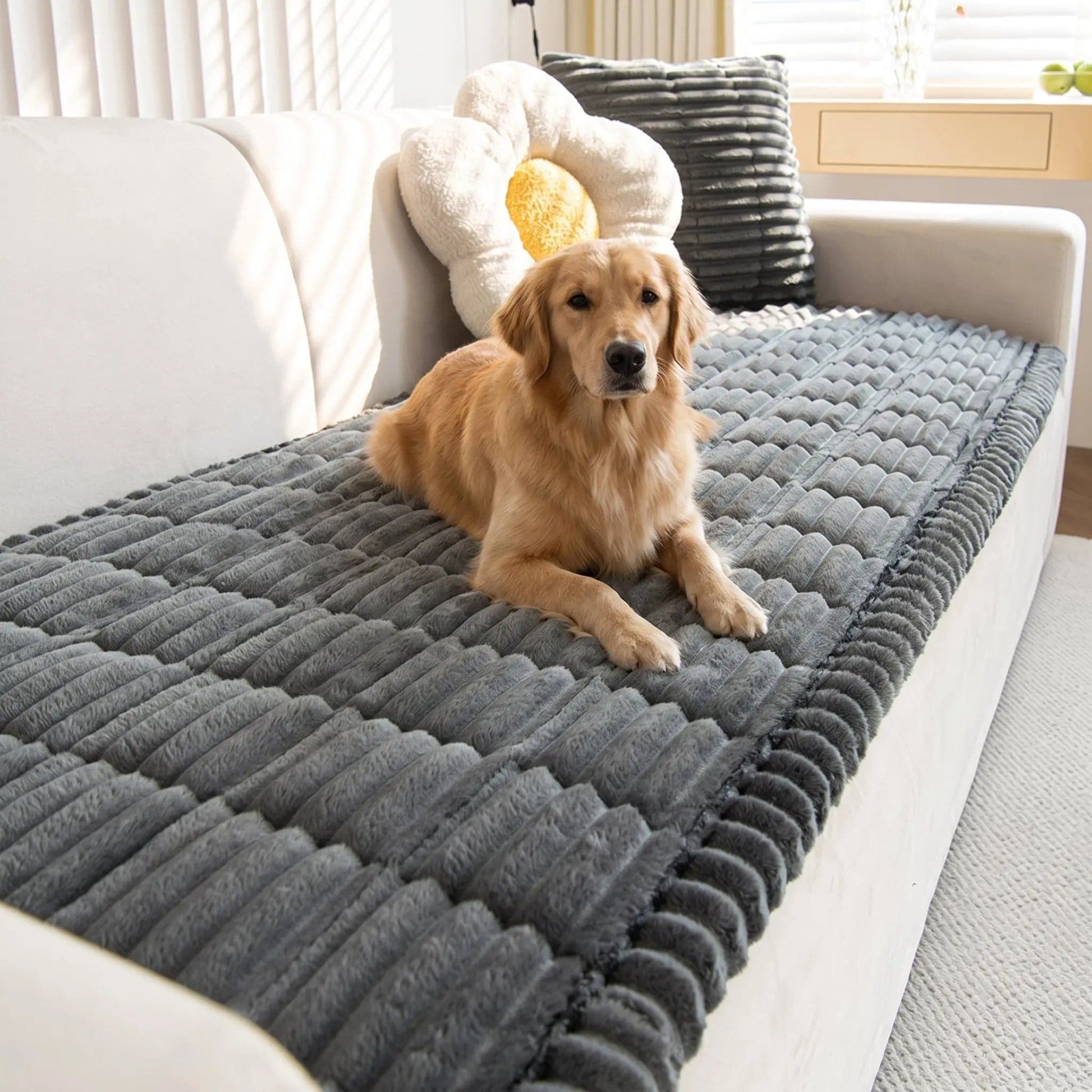 Gray Noblias plush pet sofa cover with non-slip backing, soft, protective, and washable for pet comfort and furniture protection.