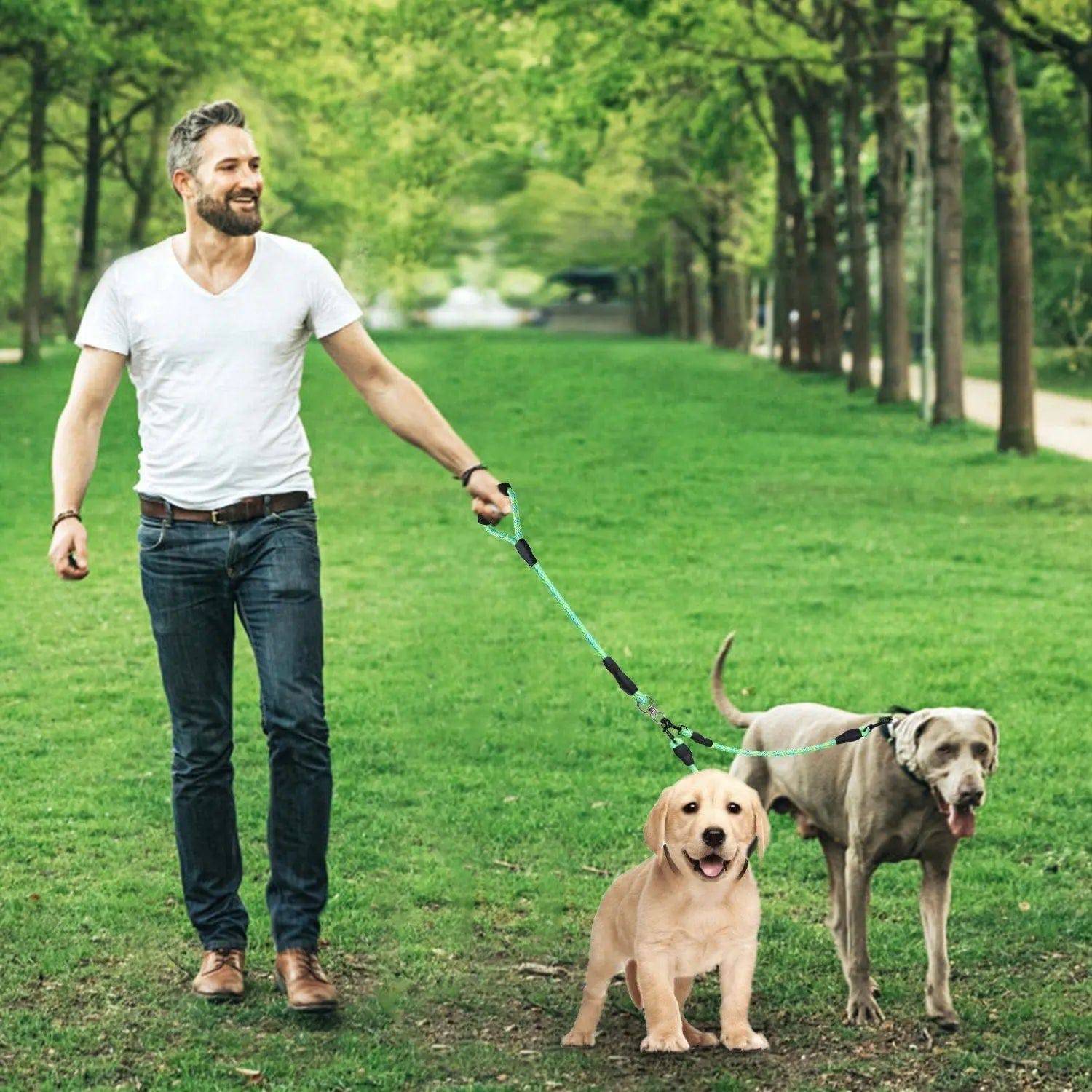 Noblias dual dog leash with no-tangle design, reflective material, and padded handle for comfortable walking with two dogs.