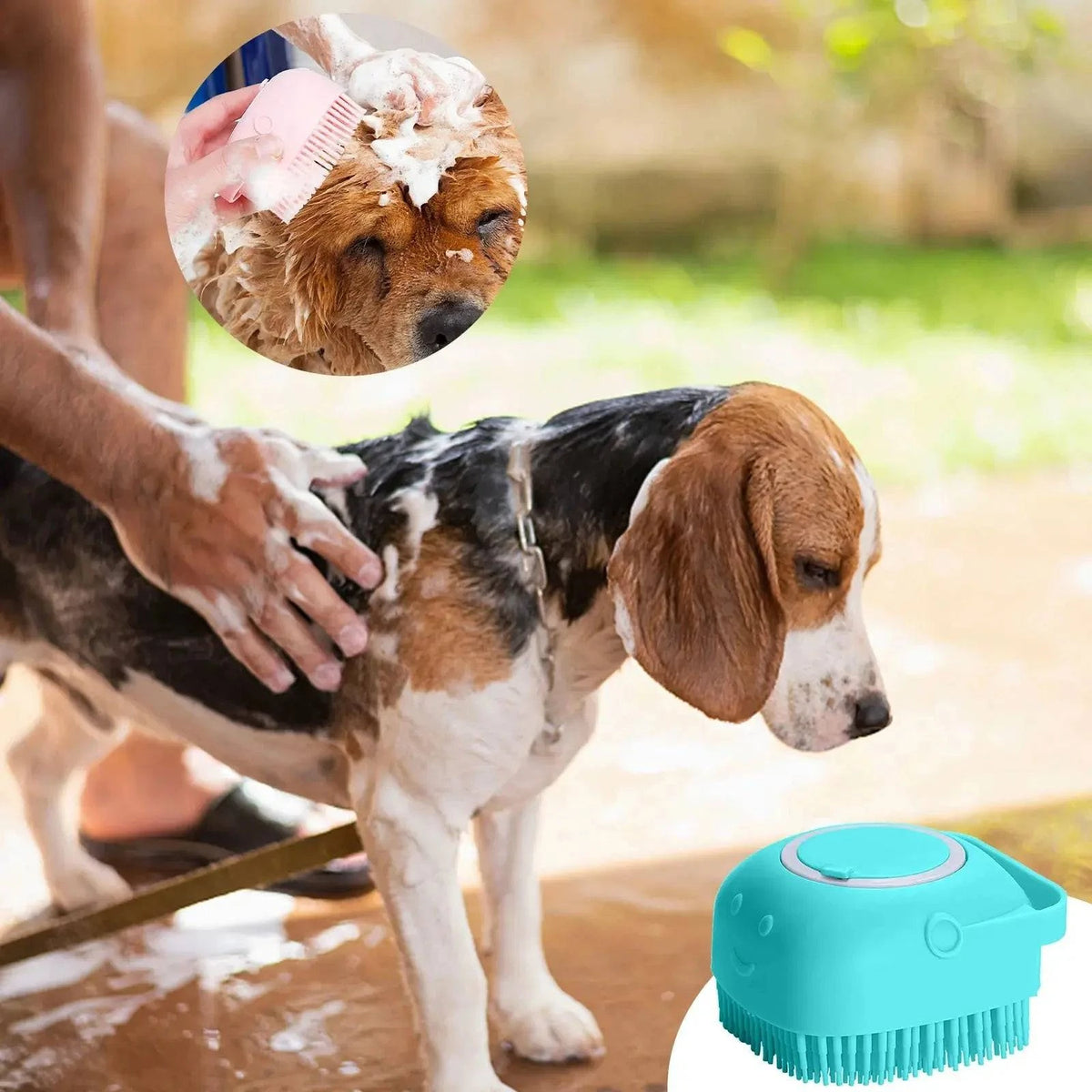 Beagle being lathered with the mint green Noblias handheld silicone dog bath brush outdoors.
