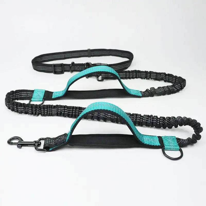 Blue hands free bungee dog leash laid flat showing the reflective waist belt, two padded neoprene handles, bungee section and metal clasp