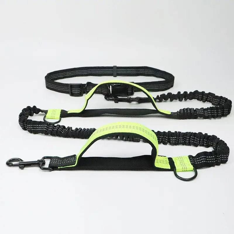 Green hands free bungee dog leash laid flat showing the reflective waist belt, two padded neoprene handles, bungee section and metal clasp