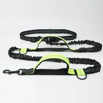 Green hands free bungee dog leash laid flat showing the reflective waist belt, two padded neoprene handles, bungee section and metal clasp