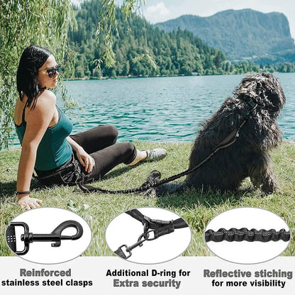 Hardware detail panel showing reinforced stainless steel clasps, an additional D-ring for extra security, and reflective stitching for more visibility, above a photo of a woman sitting beside a large black dog at a lake