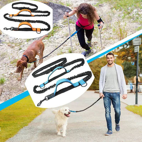 Hands free bungee dog leash shown in orange and blue with three owners walking dogs on a promenade, a lawn and a path while the leash is clipped to their waist belts