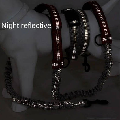 Night reflective photo of the bungee dog leash and waist belt in the dark with the reflective stitching lighting up along the full length