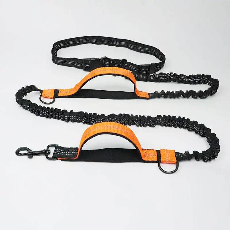 Orange hands free bungee dog leash laid flat showing the reflective waist belt, two padded neoprene handles, bungee section and metal clasp