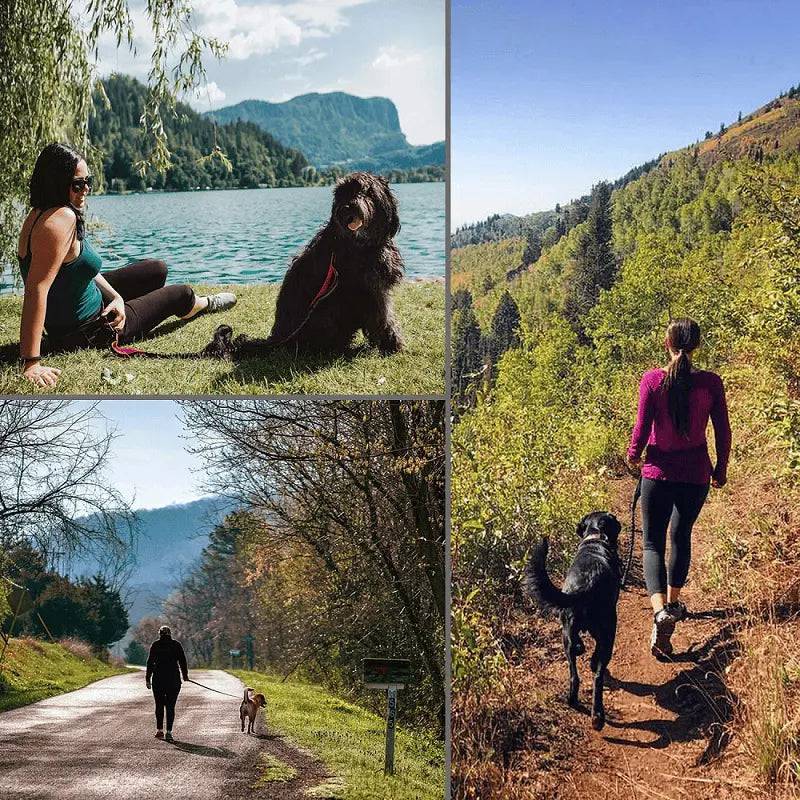 Four outdoor photos of owners using the hands free bungee dog leash by a lake, on a mountain trail, on a country road and on a woodland path