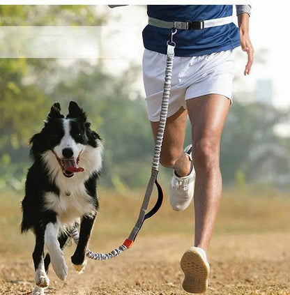 Runner jogging on a dirt path with a Border Collie beside him, the bungee dog leash clipped to his waist belt and stretched between them