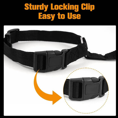 Close-up of the sturdy locking clip on the black nylon strap of the headrest dog seat belt
