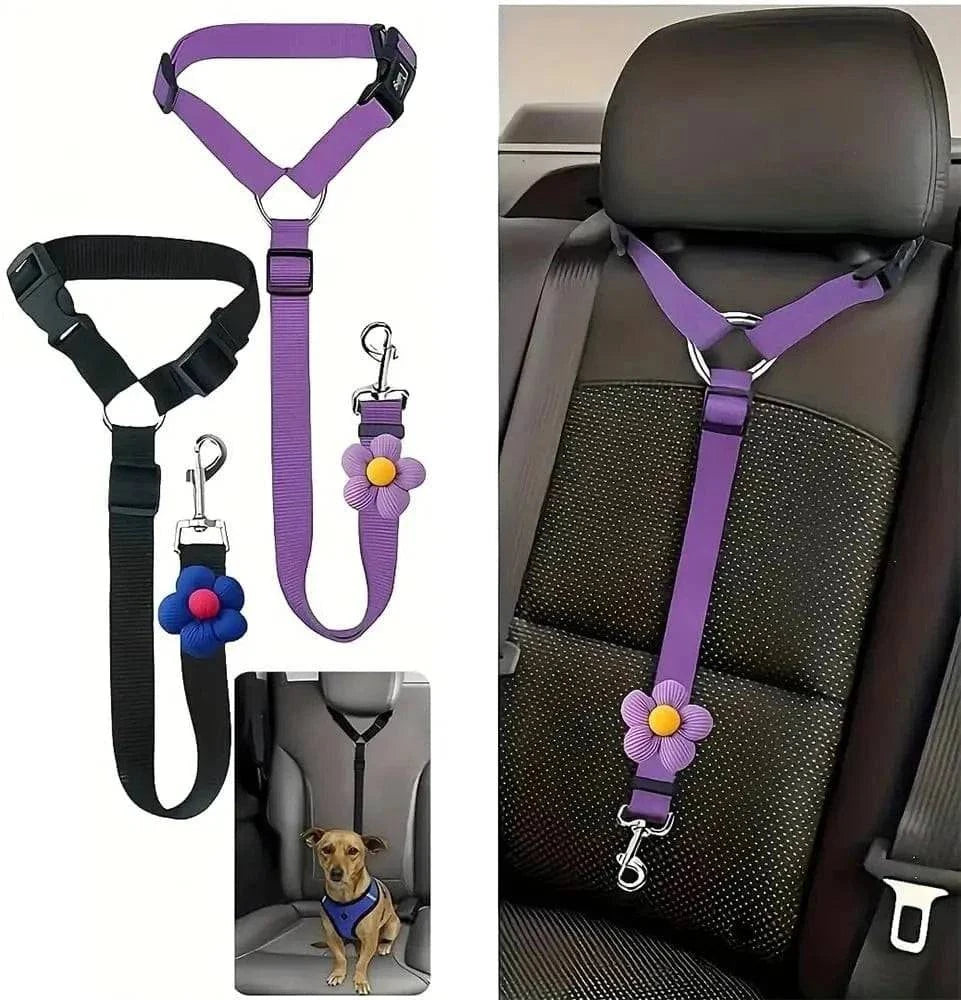 Purple and black headrest dog seat belts with the loop end fitted over a car headrest